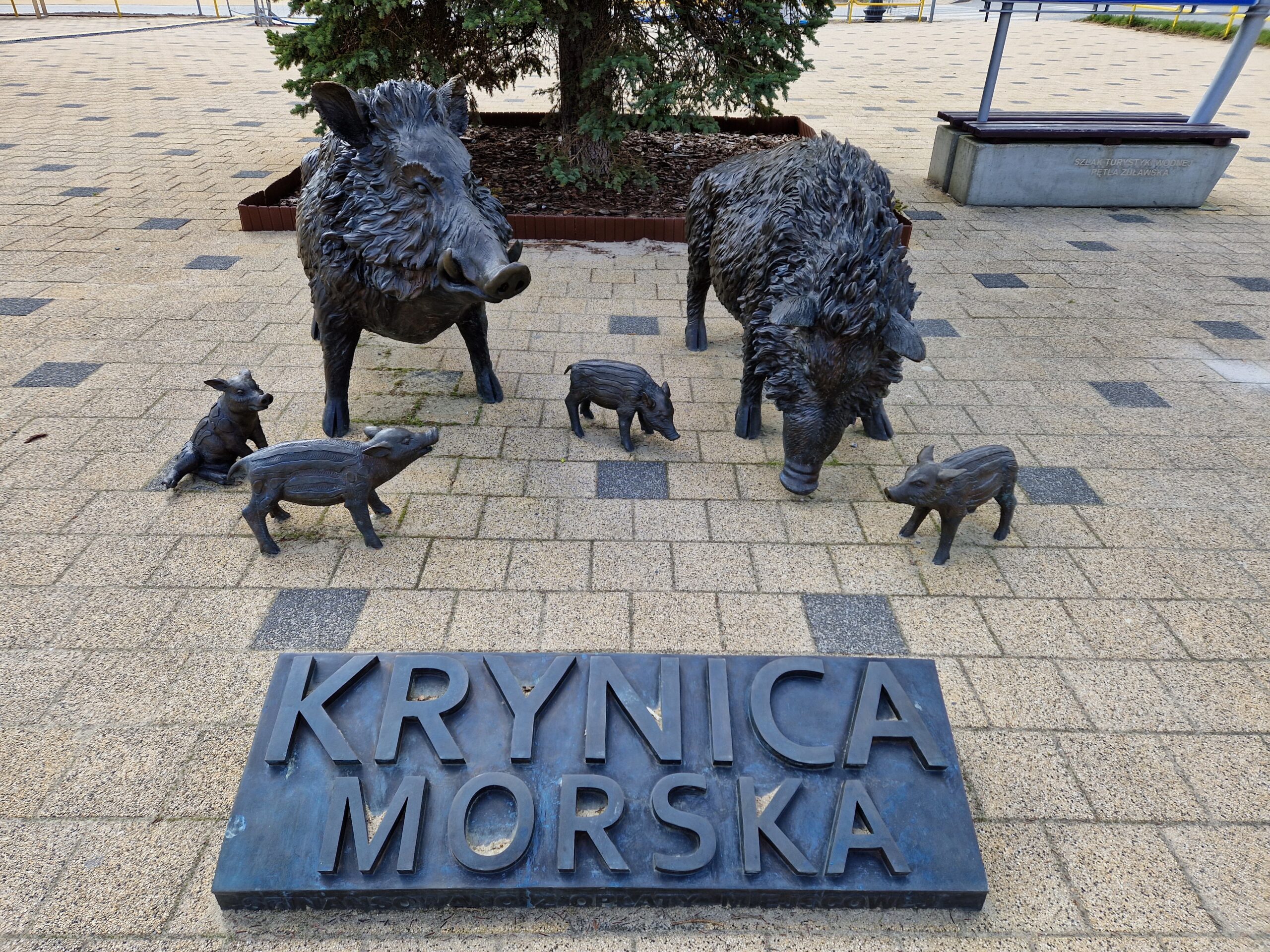 Pomnik dzików Krynica Morska